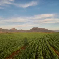 زمین-کشاورزی