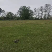 فروش زمین مسکونی ۲۰۰ و ۴۰۰ متری محدوده رشت