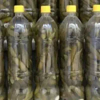 خیارشور بطری پلمپ