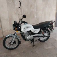 باکسر طرح دینو