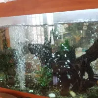 فروش آکواریوم با لوازم