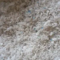 استخدام کارگر