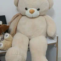 خرس بزرگ خارجی