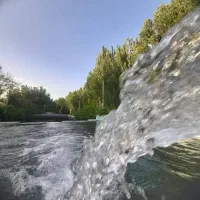 سبزیکاری حسن