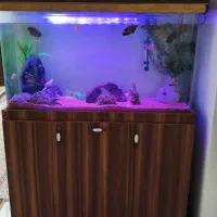 آکواریوم شیشه خم