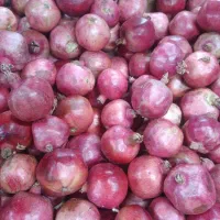 اکانت پابجی  برا فروش فقط حضوری