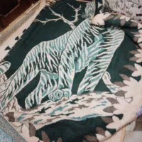 تشک وپتوتک نفره|رختخواب، بالش، پتو|لنگرود, |دیوار