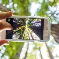 عکاسی فضای باز چالوس نوشهر