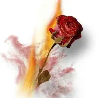 تخمک اهدایی