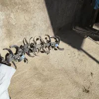 تیلر 7. اسب فروشی|ماشینآلات صنعتی|نیشابور, دهنو لکزی|دیوار