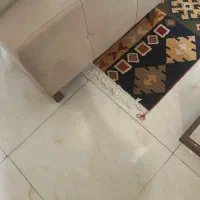 همخونه موجه خانم