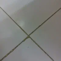 آگهی استخدام کارشناس(لیسانس)