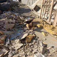 مرغ و خروس مینیاتوری|حیوانات مزرعه|مشکین‌دشت, |دیوار