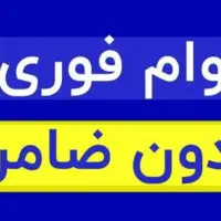 وام بدون ضامن و ارتقا رتبه اعتباری|خدمات مالی، حسابداری، بیمه|مشهد, خرمشهر|دیوار