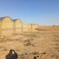 فروش دامداری|فروش دفتر صنعتی، کشاورزی، تجاری|تاکستان, |دیوار