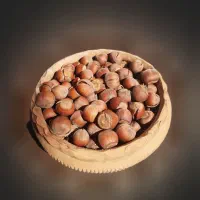تَرَک فندق درجه یک اشکور