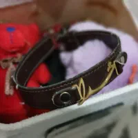 پک دست بند خرس|بدلیجات|فردیس, شهرک ۱۱۰|دیوار