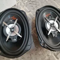 باند چیتا
