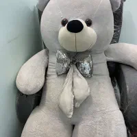 خرس پولیشی بزرگ