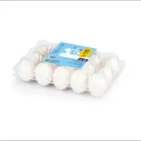 شرکت پخش تخم مرغ  سی دُرّ|خوردنی و آشامیدنی|ارومیه, |دیوار