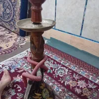 قلیان دوسیب نو|کلکسیون و سرگرمی|خان ببین, |دیوار