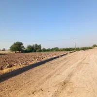۵۰۰ متر زمین چسبیده به بافت مسکونی زاک ماریان|فروش زمین و ملک کلنگی|مشهد, توس (بلوار توس)|دیوار