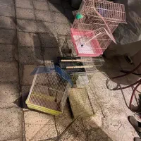 قفس پرنده|لوازم جانبی حیوانات|باغستان, |دیوار