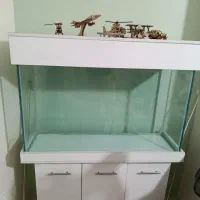 اکواریوم سالم و نو