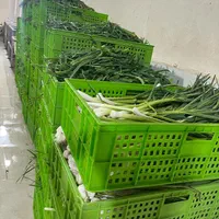 همکار،کارگر در سبزی خردکنی باجای خواب،خانم یاآقا|استخدام خدمات فروشگاه و رستوران|تهران, خزانه|دیوار