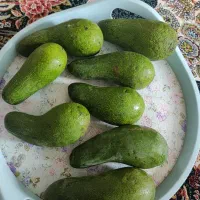 آواکادو محلی