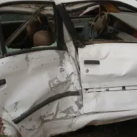 سمندتصادفی مدل۸۷
