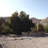 500 زمین در روستا