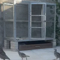 قفس اهنی گالوانیزه مرغ کفتر کبک ۲ طبقه