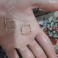گوشواره‌‌وپلاک‌زنجیر
