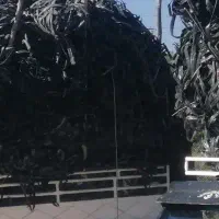 خریدار نوار قطره و پلاستیک کشاورزی و لوله