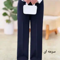 نیروی چرخکار ماهر