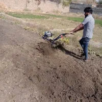 باغبانی تیلر زنی سمپاشی هرس