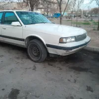 الدوزمبیل کاتلاس سیرا