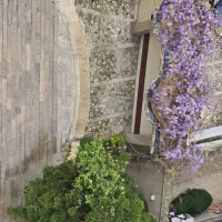 اجاره فوری معلم ۳ خواب تاپ لوکیشن معلم|اجارهٔ آپارتمان|رشت, استقامت ۱|دیوار