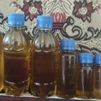 مرغ و خروس و ناردونگ و روغن زیتون|حیوانات مزرعه|دهدشت, |دیوار