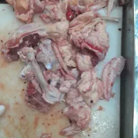 ضایعات مرغ سیمرغ