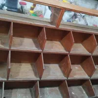 ویلادرجنگل