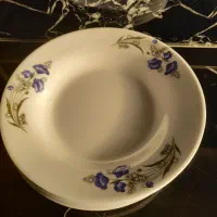 سرویس ۳۰ نفره ملامین چینی تیکه|ظروف سرو و پذیرایی|قائم‌شهر, |دیوار