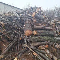 چوبری وخرید انواع چوب|خدمات باغبانی و درختکاری|مشکین‌دشت, |دیوار