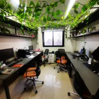 ۲۵۰ متر ۷ خواب/ بر اصلی بلوار/ سند اداری ۲ پارکینگ