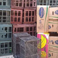 سبد کاهو ، کارتن موزی|فروشگاه و مغازه|دزفول, |دیوار