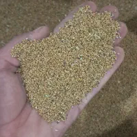 بذر یونجه