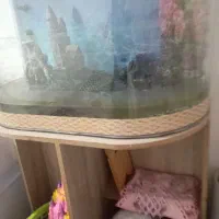 آکواریوم نو|ماهی|ایلام, |دیوار