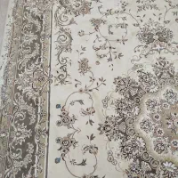 فروش فوری|فرش|ارومیه, |دیوار