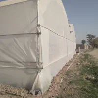 فروش زمین و گلخانه با سازه صنعتی